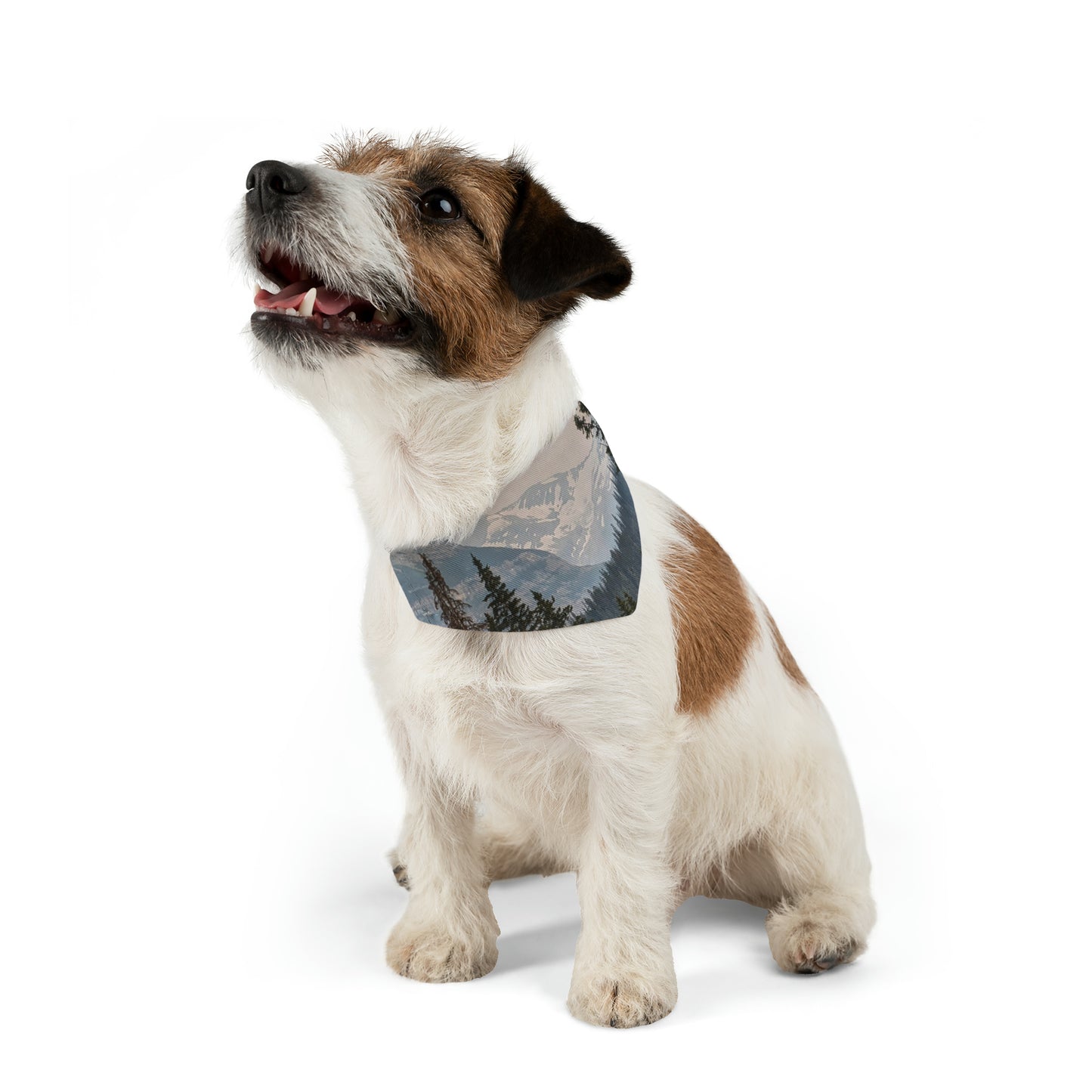 Jackson Glacier Pet Bandana Collar