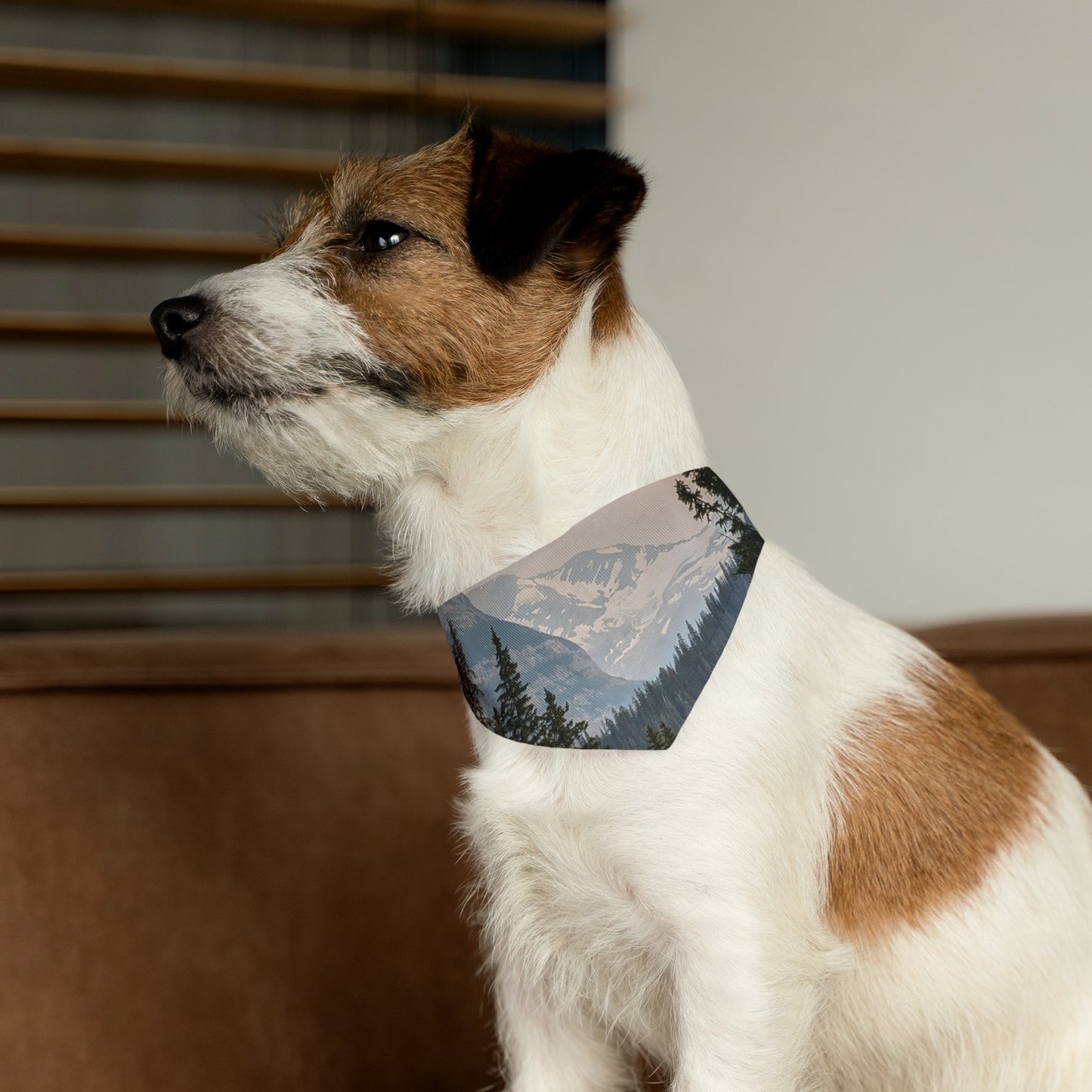 Jackson Glacier Pet Bandana Collar