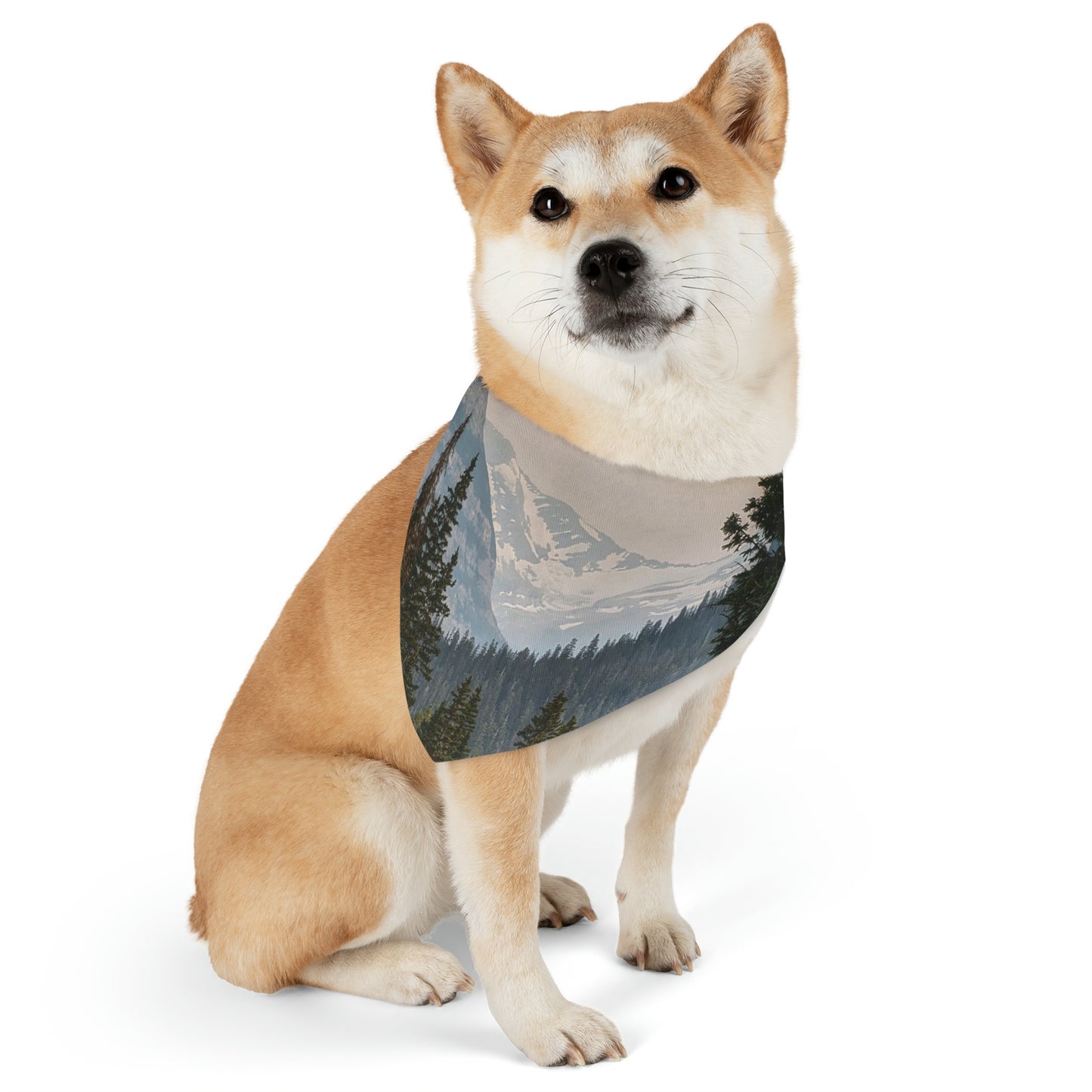 Jackson Glacier Pet Bandana Collar
