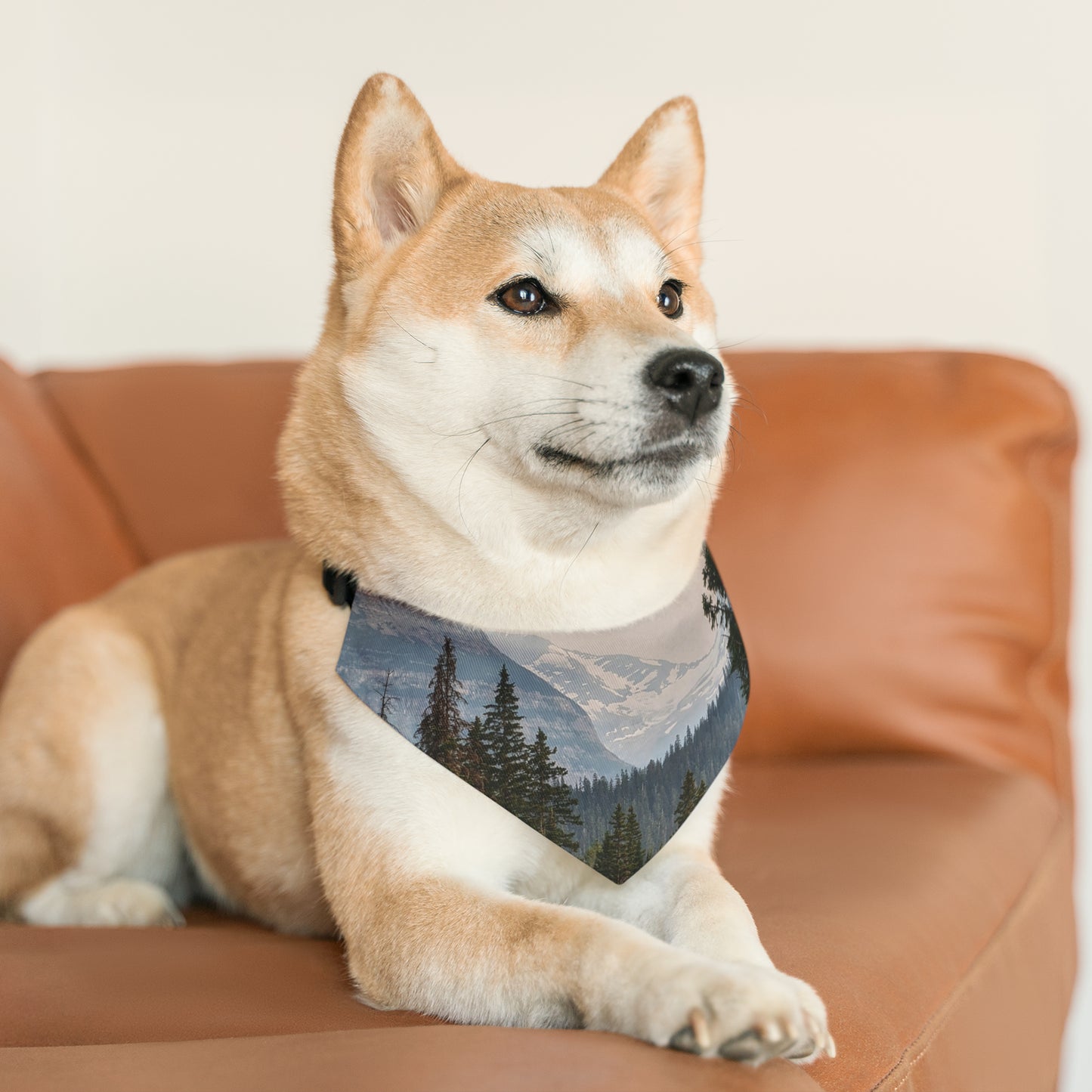 Jackson Glacier Pet Bandana Collar