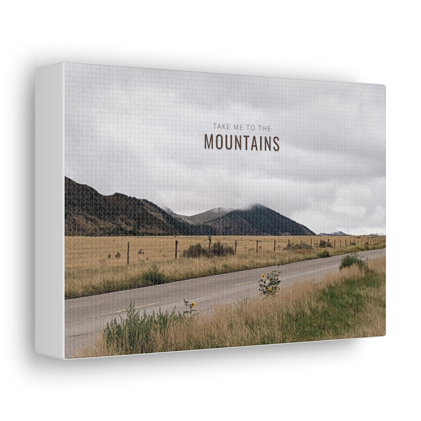 Take Me Back To The Mountains Gallery Wraps