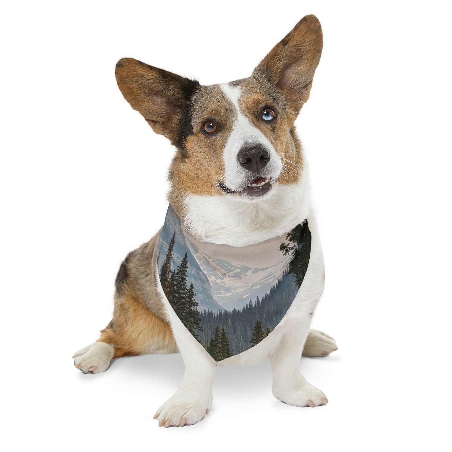 Jackson Glacier Pet Bandana Collar