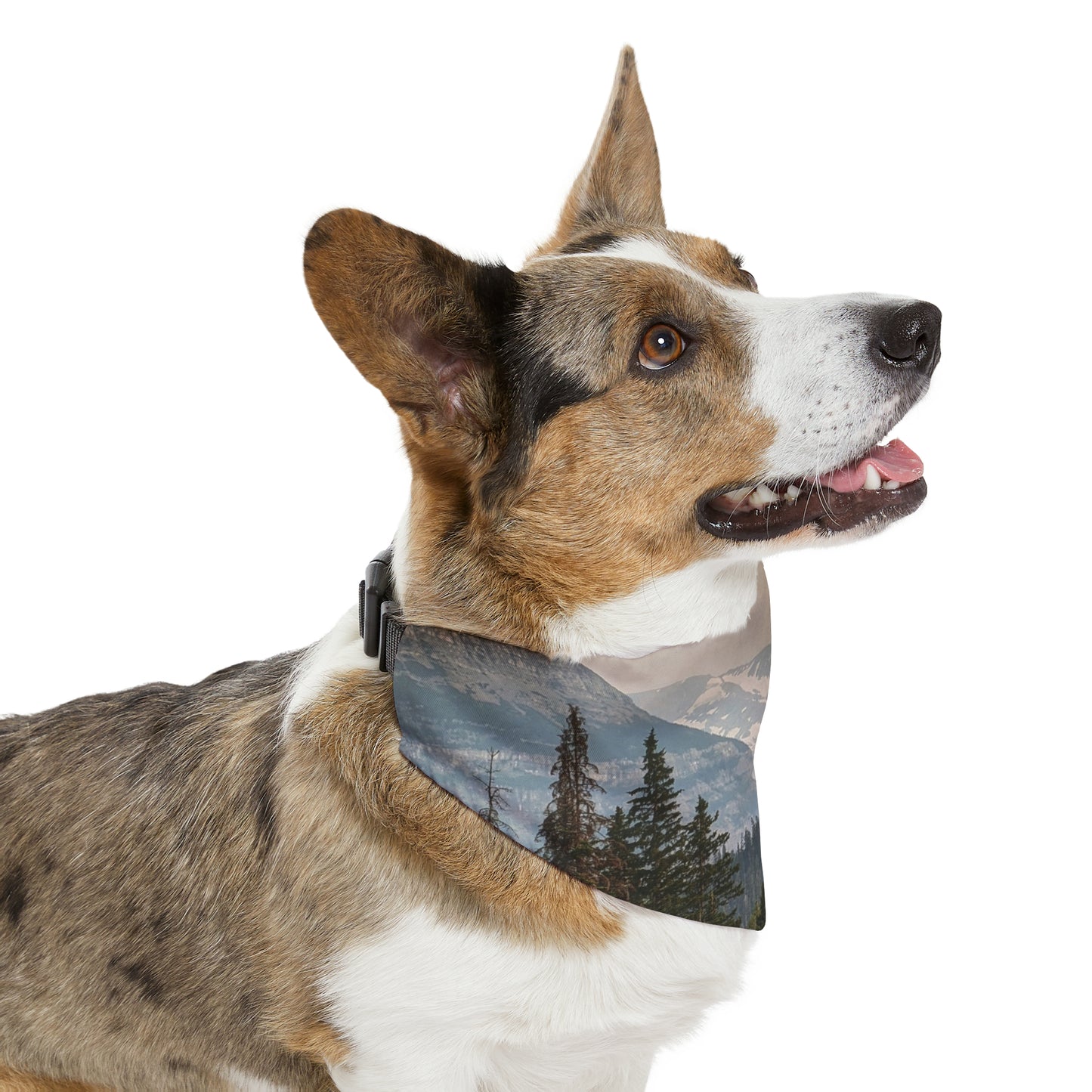 Jackson Glacier Pet Bandana Collar