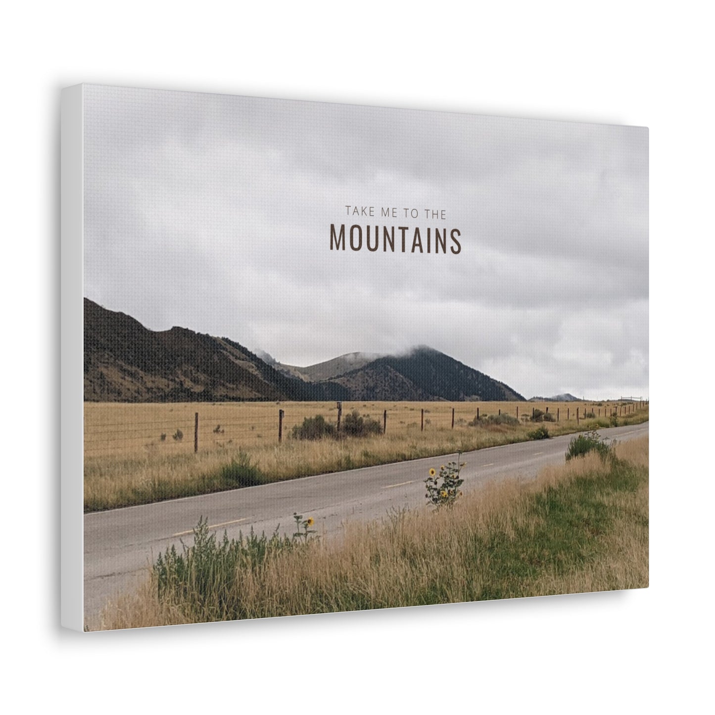 Take Me Back To The Mountains Gallery Wraps