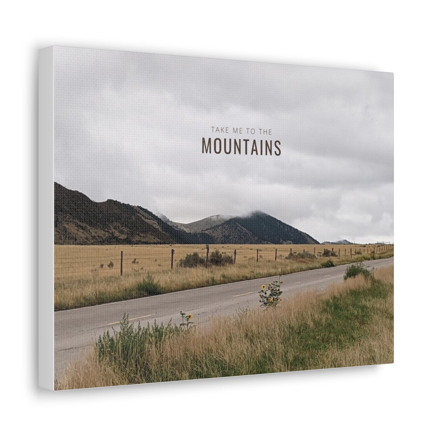 Take Me Back To The Mountains Gallery Wraps
