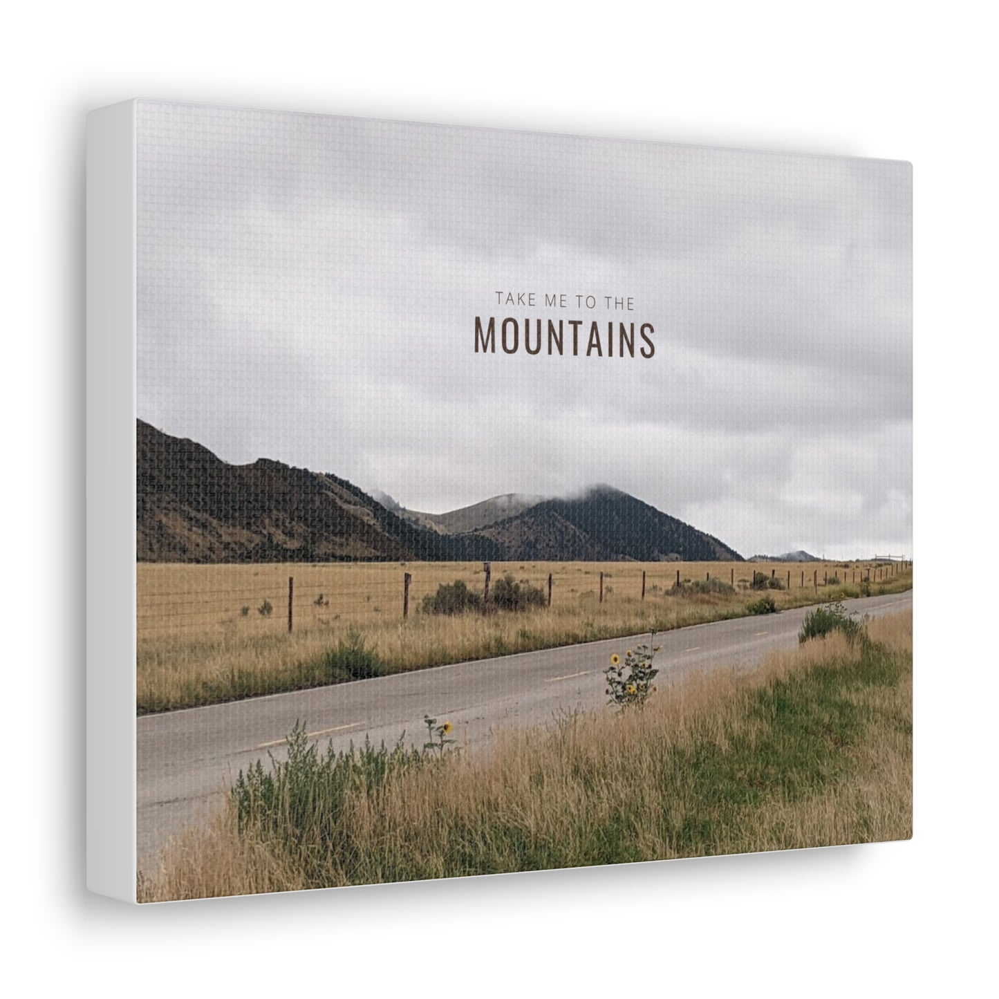 Take Me Back To The Mountains Gallery Wraps